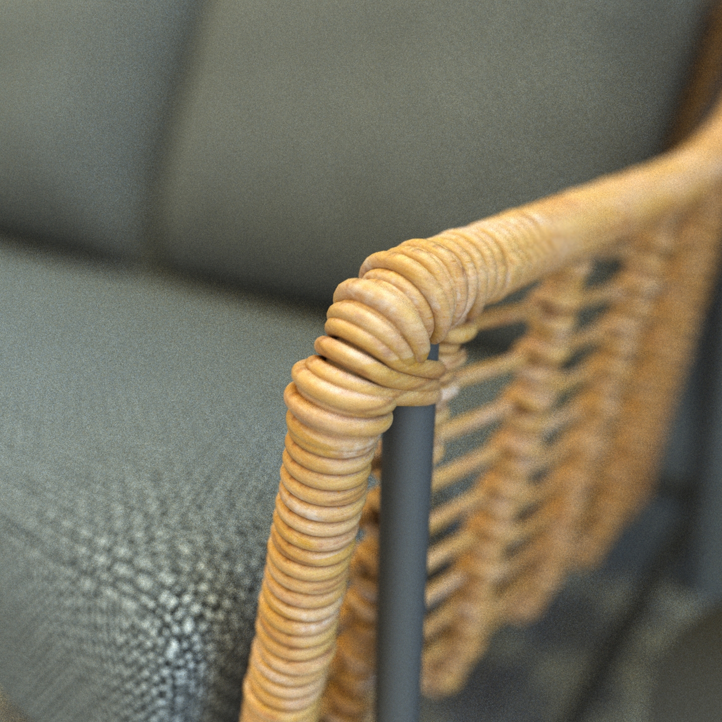 Timor_Detail_1.jpg